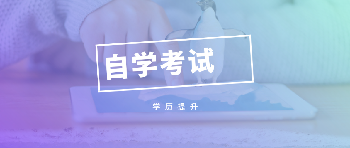 大自考和小自考的區別是什么？