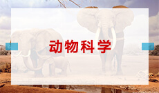 動物科學(xué)(應(yīng)用型)(本科)